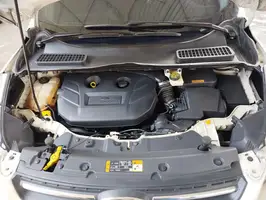 2014  Ford Escape - Image 15