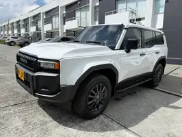 2025  Toyota Prado - Image 6