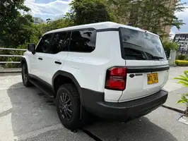 2025  Toyota Prado - Image 10