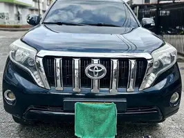 2011  Toyota Prado - Image 34