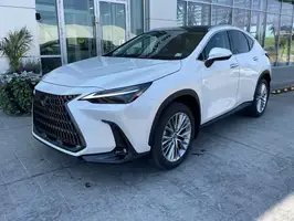 2025  Lexus Unknown - Image 4