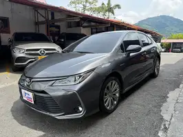 2023  Toyota Corolla - Image 1