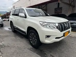 2019  Toyota Prado - Image 3